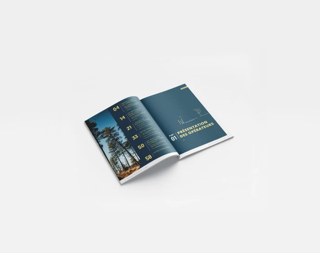 KA2 MOCKUP AUDENGE BNP 3 - agence communication KA2